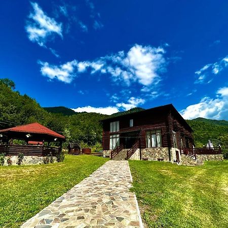 Pensiunea Roxana Valea Viseului Ngoại thất bức ảnh
