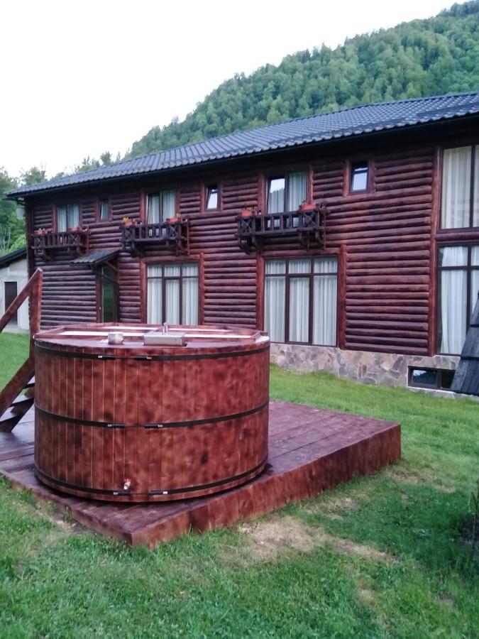 Pensiunea Roxana Valea Viseului Ngoại thất bức ảnh